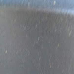 Meet your Posher, Will